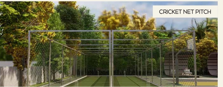 Cricket Net Practice Pitch