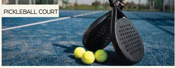 Pickleball Court